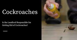 Talk to a professional pest control expert and ask if you can avail a free now, let's take a look at the responsibilities of the landlord, as well the tenant, when it comes to keeping a rental property free from pests. Is The Landlord Responsible For Getting Rid Of Cockroaches Pest Control Products