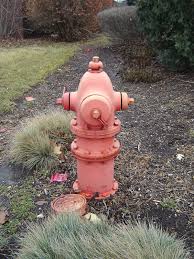 In medieval europe, like trial by combat, trial by ordeal, such as cruentation, was considered a judgement of god (latin: Fire Hydrant Wikipedia