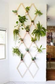 Duvar Dekorasyon Fikirleri Wall Decoration Ideas Dekorasyon Fikirleri Ev Icinde Bitki Bakimi Fikirler