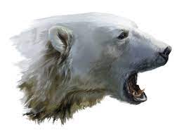 A Polar Bear Growls By Kajenna Deviantart Com On Deviantart Polar Bear Art Polar Bear Polar Bear Tattoo