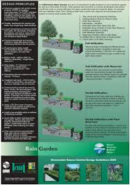 Rain Garden Rain Garden Green Landscape Water Management