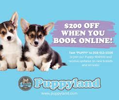 Image result for Family Practice Notebook Updates 2015