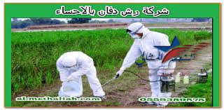 شركة رش دفان بالاحساء الدفان أو النمل الأبيض من الحشرات التي تستعمر البيوت والمباني بكافة أنواعها خاصة القريبة من الحقول الزراعية حيث تنتشر baseball cards cards