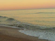 11 best hunting shark teeth images shark saint augustine