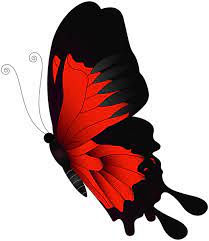 Red Flying Butterfly Png Clip Art Butterfly Art Painting Butterfly Art Drawing Butterfly Painting
