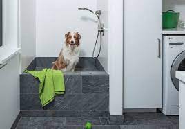 Does Your Dog Deserve Its Own Shower My Bathroom Renovations