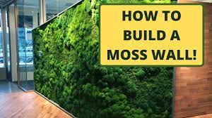 29 beautifully designed moss wall art ideas for your home. How To Make A Moss Wall Use Pre Made Moss Panels Youtube