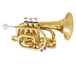 Nepal Music Gallery Pocket Trumpet Trumpet Guitars For Sale