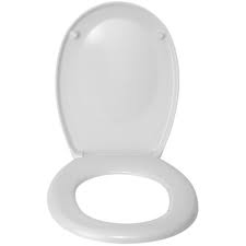 We did not find results for: Abattant Wc Thermodur Bergamo Fixation Acier Inox Wenko Bricozor