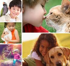 Eye care for animals has updated their hours and services. Eye Care For Animals 28 Photos 41 Reviews Veterinarians 5040 Convoy Street Suite B San Diego Ca Phone Number