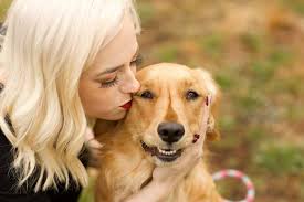 Introduction to a service dog and its role