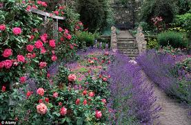 Now you don't need to wait for you flowers to grow and cover your hanging basket. Scientists Discover Flowers Are Losing Their Scent As Consumers Want Better Looking Blooms Daily Mail Online