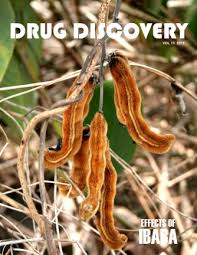 Image result for Melastomastrum capitatum