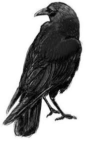 Raven And Moon Tattoo Bing Images Kus Dovmeleri Karga Fuzen Cizimleri