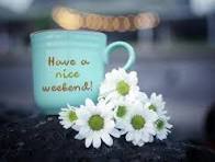 183 Text Happy Weekend White Flowers Stock Photos - Free ...