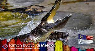 Buka rekening saham tidak pernah sama lagi sejak penggunaan smartphone semakin masif dalam beberapa tahun terakhir. Taman Buaya Tempat Menarik Di Melaka Tempat Menarik
