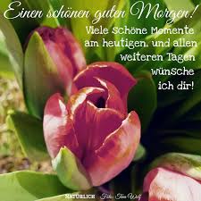 Wähle einfach das gewünschte bild aus der kategorie einen wunderschönen guten morgen und klicke auf einen der darunter angezeigten codes. Guten Morgen Bilder Guten Morgen Gb Pics Seite 6 Gbpicsonline