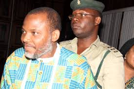 Image result for nnamdi kanu