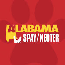Thanks to grants and additional funding, we can now provide this service, including a free rabies vaccination for pets 3 months of age or older, if the pet is not current.it is important to spay and neuter your pets. Nearly 100k Granted For Free Spay Neuter Surgery Daily Mountain Eagle
