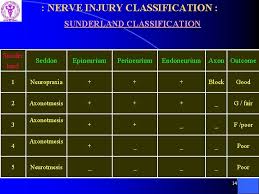 The second corresponds to axonotmesis; Nerve Injuries Diagnosis Evaluation And Management 1 Approach