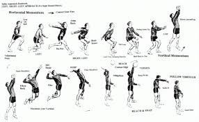 Each session has to be registered each week. What Biomechanical Principles Are Vital In Order To Enhance The Power And Accuracy Of The Volleyball Spike Coaching Volleyball Volleyball Skills Volleyball Tips