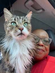 Hello! Bringing these two beautiful girls home today, and the breeder said  they are 8 weeks old. My instincts tell me that they are younger. If so,  what should we watch for?