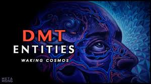 Dmt is arguably the most powerful psychedelic drug on the planet, capable of producing intense hallucinations. Dmt Entities And Higher Dimensional States Of Consciousness Youtube