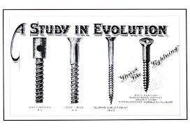 What are Robertson screws? | WOOD Magazine