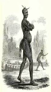 Preamble (your majesty), overture, the coming of shaka was foretold. How Lobengula Succeeded Mzilikazi Celebrating Being Zimbabwean
