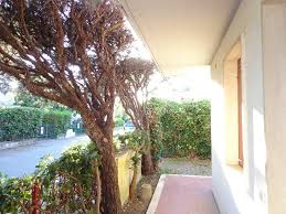 Appartamento in affitto a cecina, san pietro in palazzi nuovo sul mercato: Case In Affitto A Cecina Habiqui