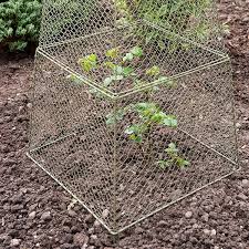 Hardware cloth is a metal mesh similar to chicken wire. Buy Rabbit Proof Cloche Extension Delivery By Crocus