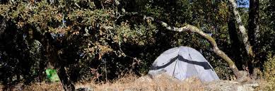 Santa rosa is the largest city in sonoma county, california, and fifth largest in the san francisco bay area. Camping Spring Lake Regional Park Visit Sonoma County Regional Parks