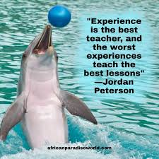 The autoco learning history contained significant messages for the company. Here Is Why We Say Experience Is The Best Teacher In Life