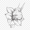 Bring out your inner artist as you learn how to draw a poppy. Https Encrypted Tbn0 Gstatic Com Images Q Tbn And9gcqr0jt9wh5q8mpznjrm1f2ayxcro Qegkkphedrwyvwxcdjw9n Usqp Cau