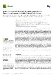 Image result for Sorindeia juglandifolia