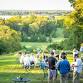 Celebration on the Potomac