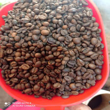 Medium roast arabica coffee beans
