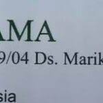 Cari loker mejasem tegal : Lowongan Kerja Cultivation Farming Pt Well Being Utama Tegal Loker Id