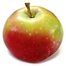 One of the smartest things you can do is back up your files so that they're. Picking Calendar Picking Seasons At The Farm Apple Holler