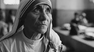 Amanda Bolanos (@yo_manda_manda)