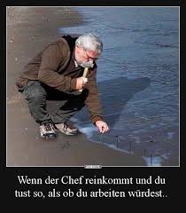 Wenn Der Chef Reinkommt Und Du Tust So Als Ob Du Arbeiten Wurdest In 2020 Witzige Spruche Lustige Spruche Bilder Lustige Bilder