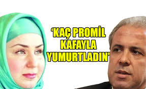 Matkahuollosta matkat ja paketit helposti joka puolelle suomea. Yeni Akit Yazari Helin Avsar La Kelepcecilik Oynayacak Derecede