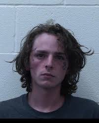 Renee Cork's Instagram, Twitter & Facebook