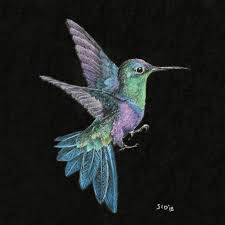 Hummingbird 2 By Sonya Delaney In 2020 Black Paper Drawing Animal Drawings Sketches Cool Art Drawings