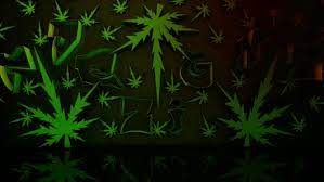Check spelling or type a new query. Weed Wallpaper Gif Novocom Top