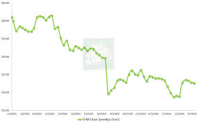 tfm stock options