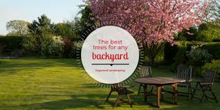 The dense shade of the tree may make it impossible to grow grass or other plants. The Best Trees For Any Backyard Dogwood Landscaping