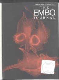 We did not find results for: Hiv 1 Tat Protein Promotes Formation Of More Processive Elongation Complexes The Embo Journal