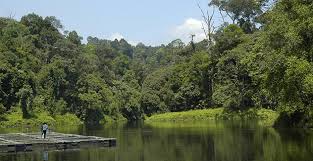 Rainforest info, images, and adventures. Taman Botani Negara Shah Alam National Botanical Gardens Visit Selangor