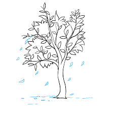In this video you can see me drawing some of the common tree types in charcoal. How To Draw A Fall Tree Really Easy Drawing Tutorial